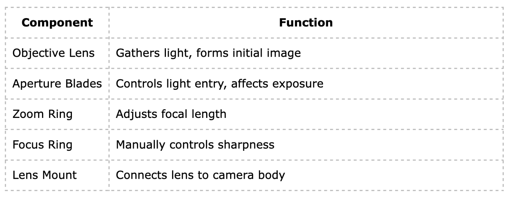 Understanding the Components of a Camera Lens: A Rafcamera Perspective